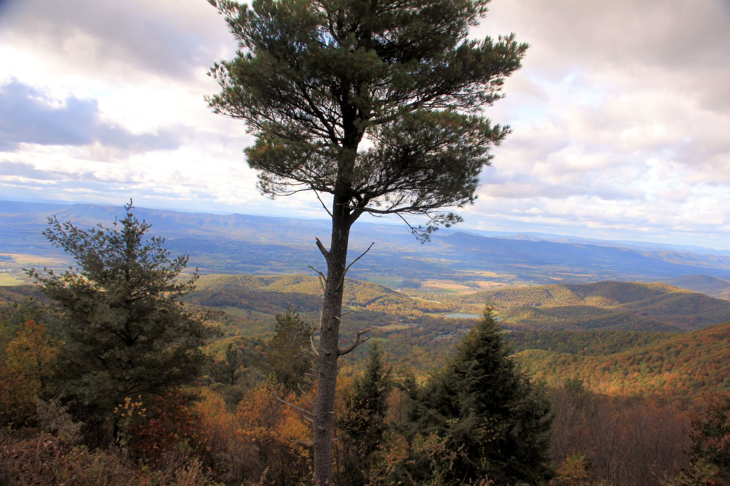 Scenic Drive Over Looks 